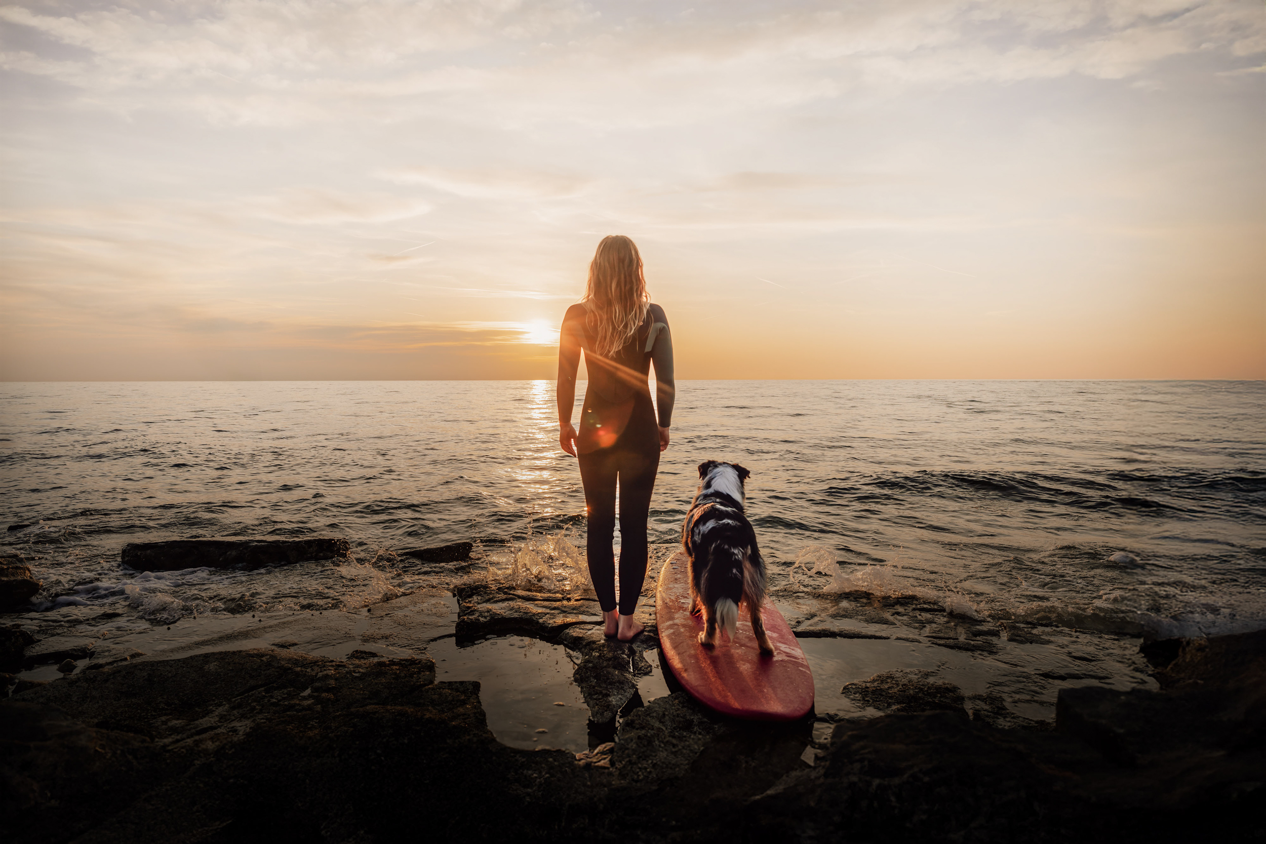 Dog Photography Awards 2025