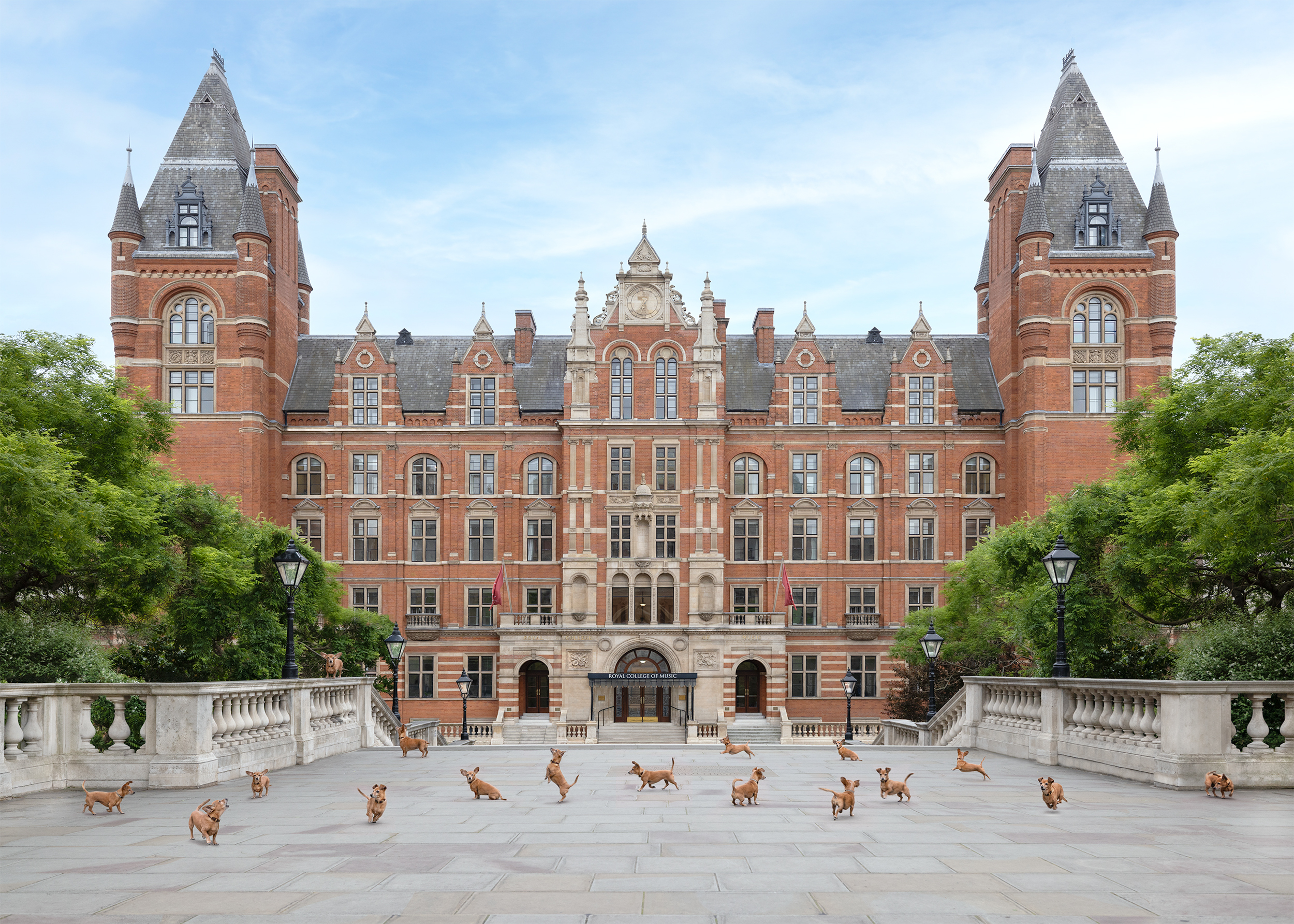 Dog Photography Awards 2025