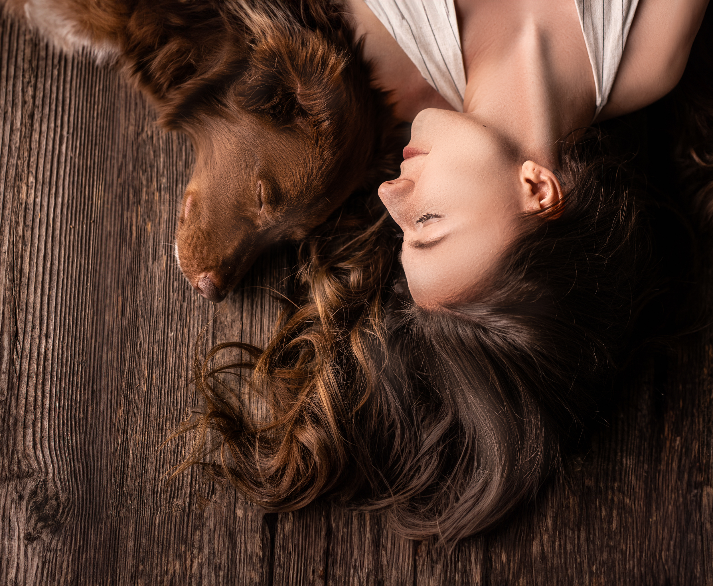 Dog Photography Awards 2025