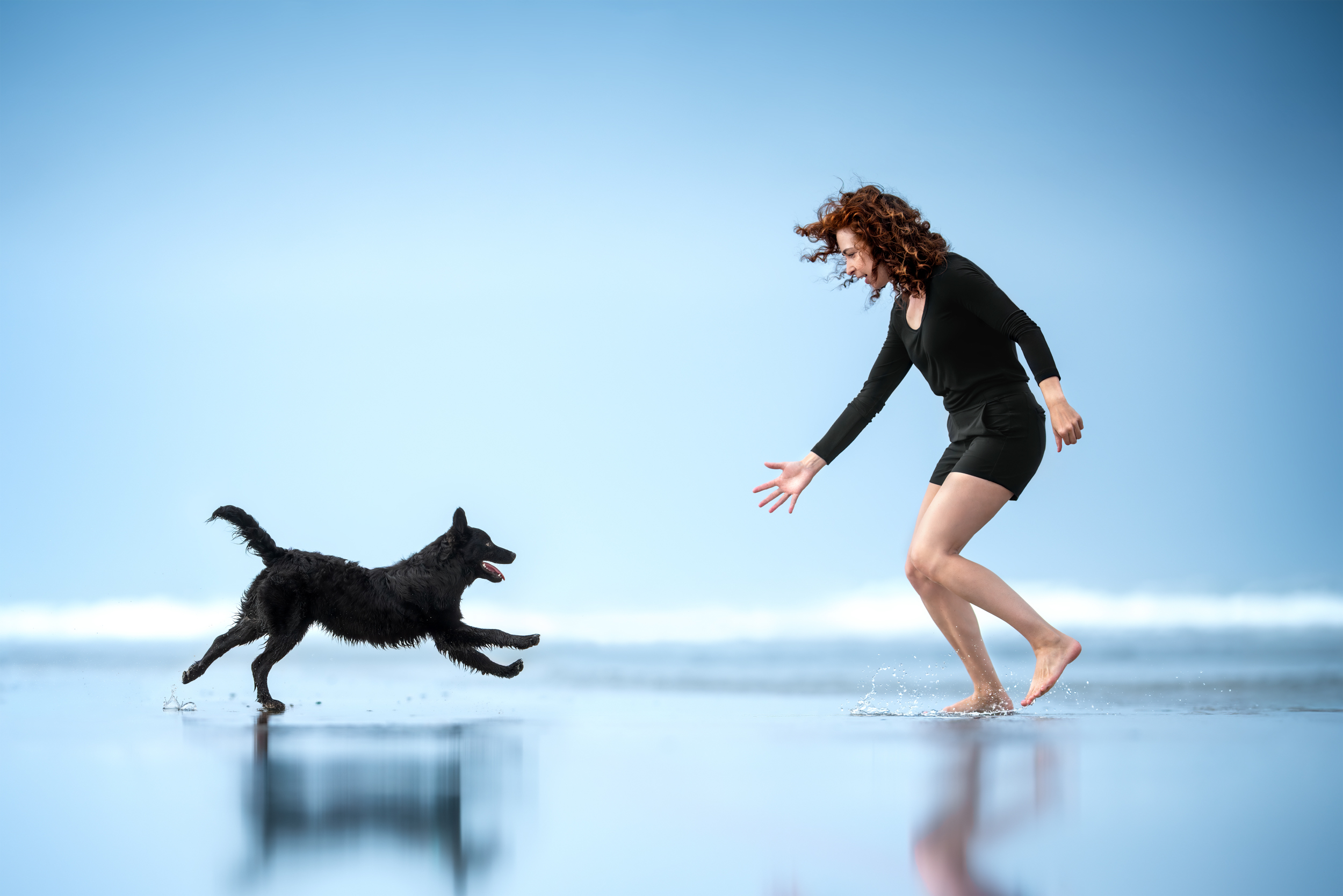 Dog Photography Awards 2025