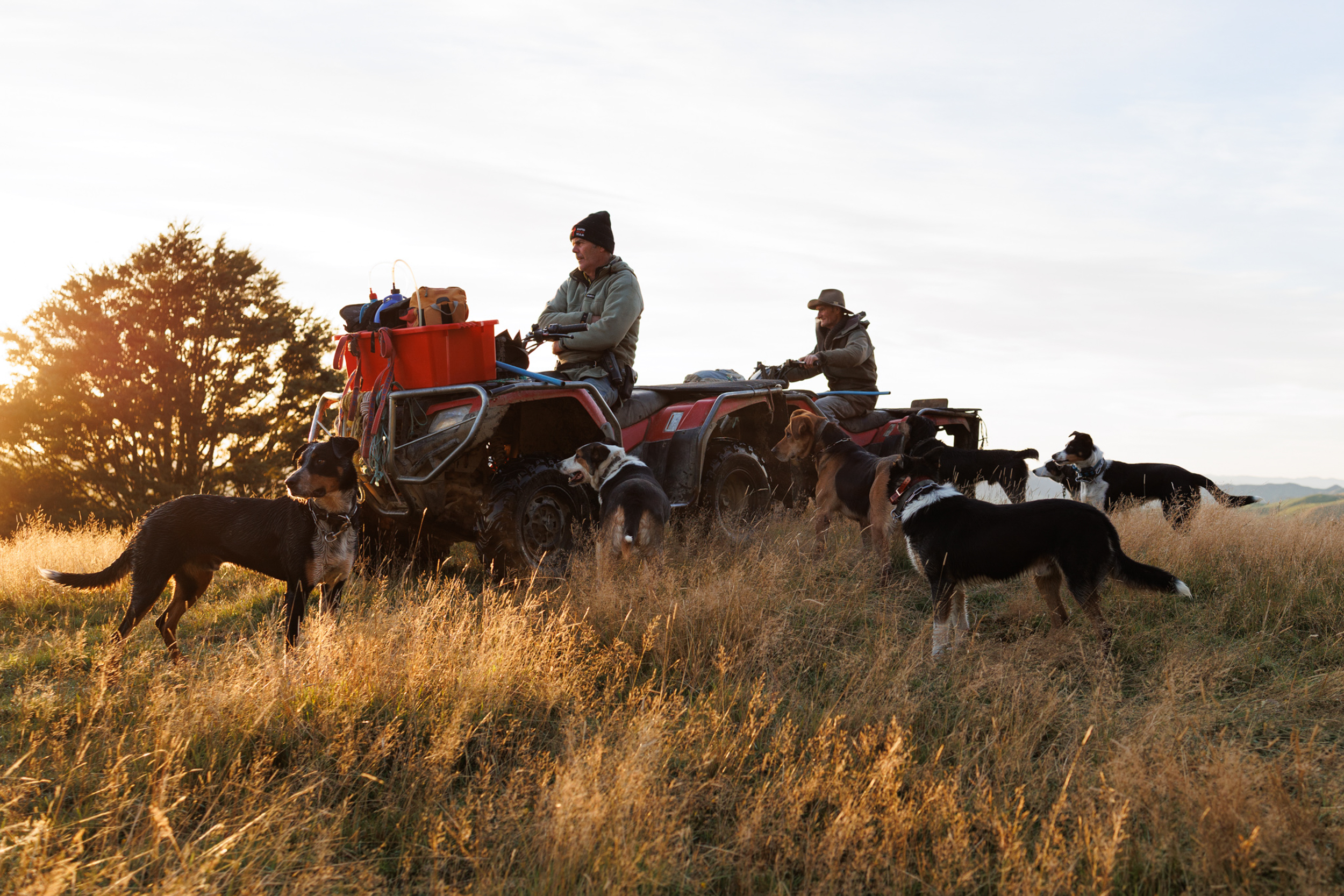 Dog Photography Awards 2025