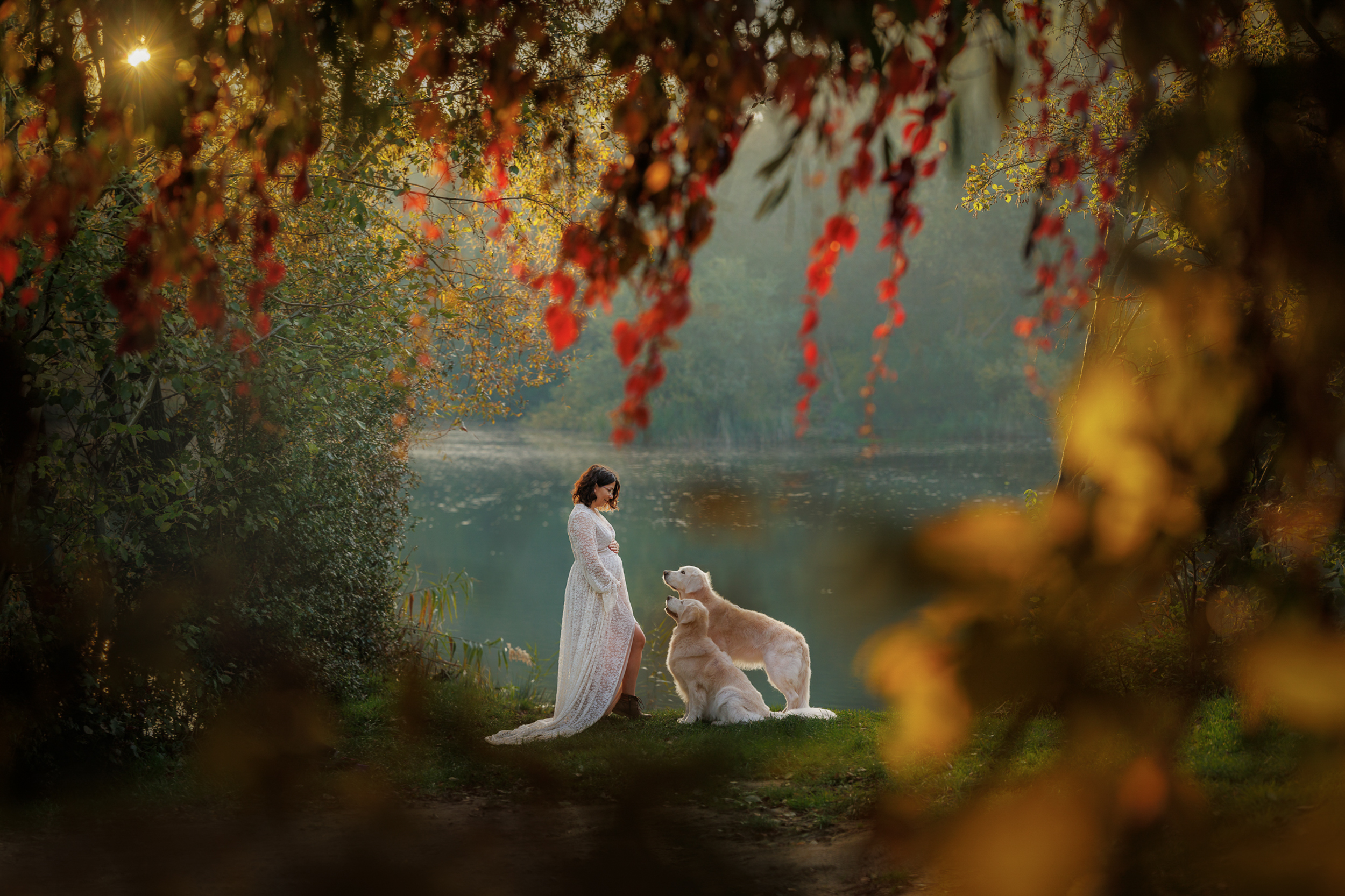 Dog Photography Awards 2025