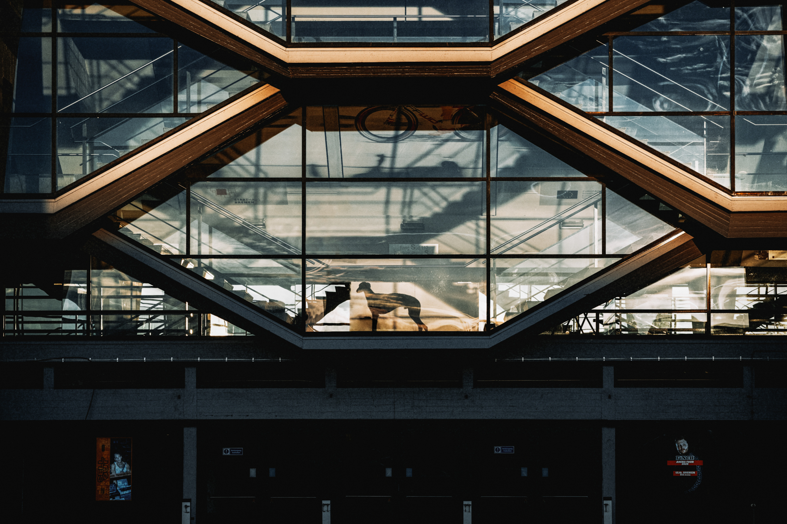 Dog Photography Awards 2025