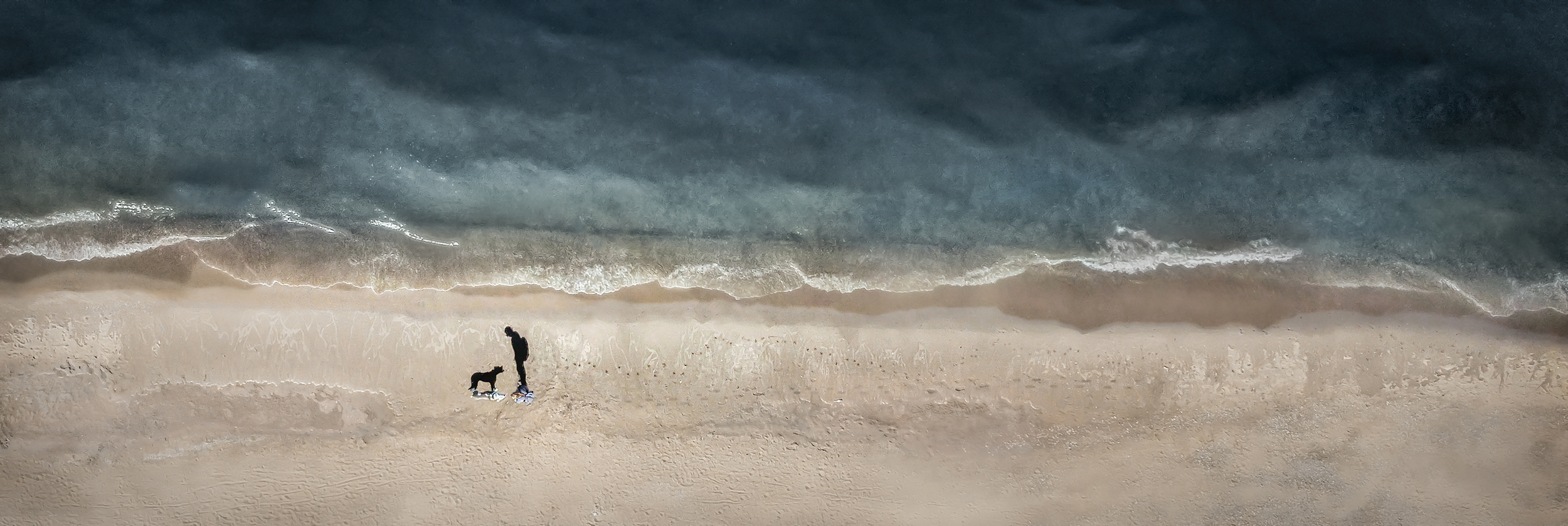 Dog Photography Awards 2025