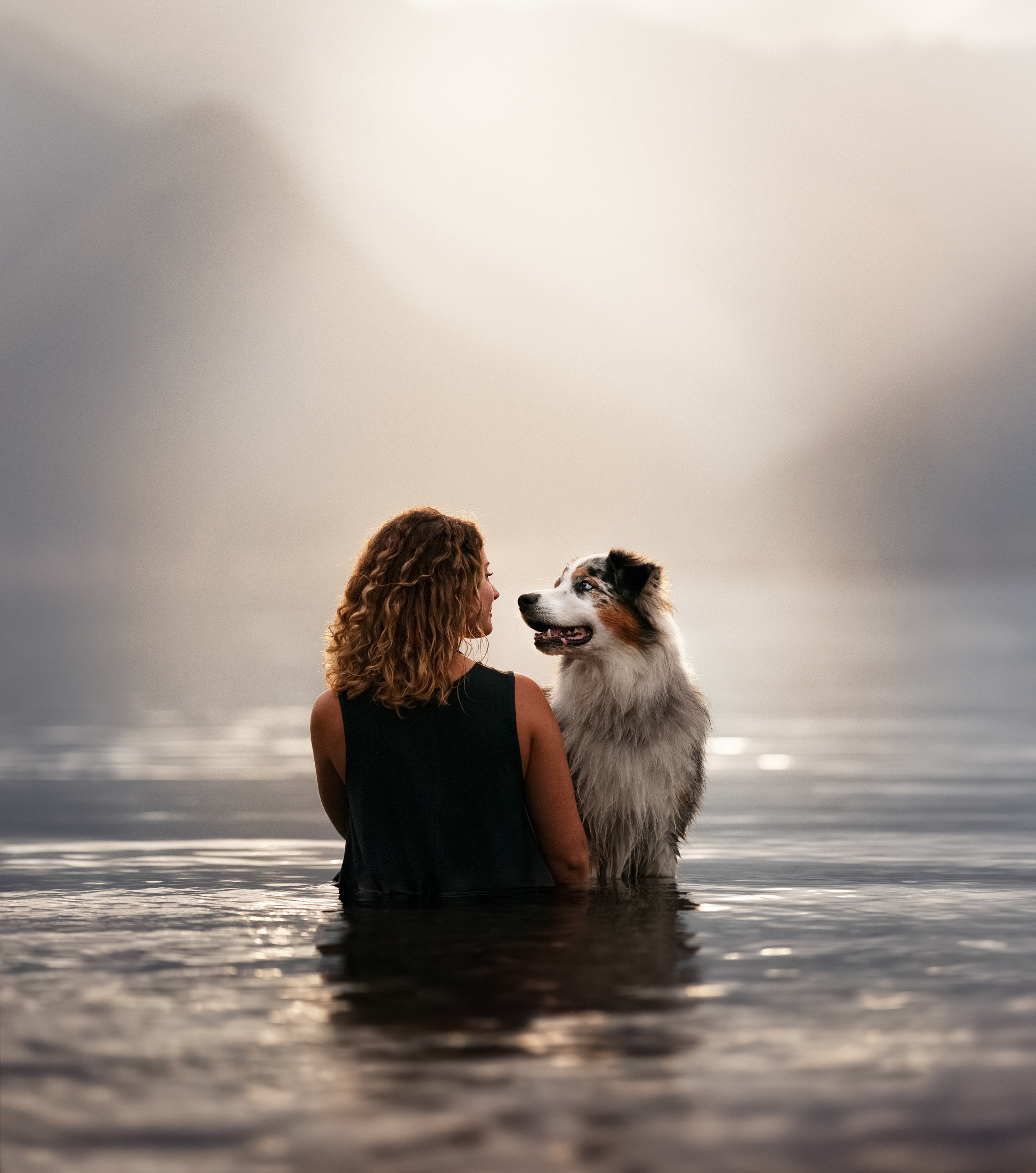 Dog Photography Awards 2025