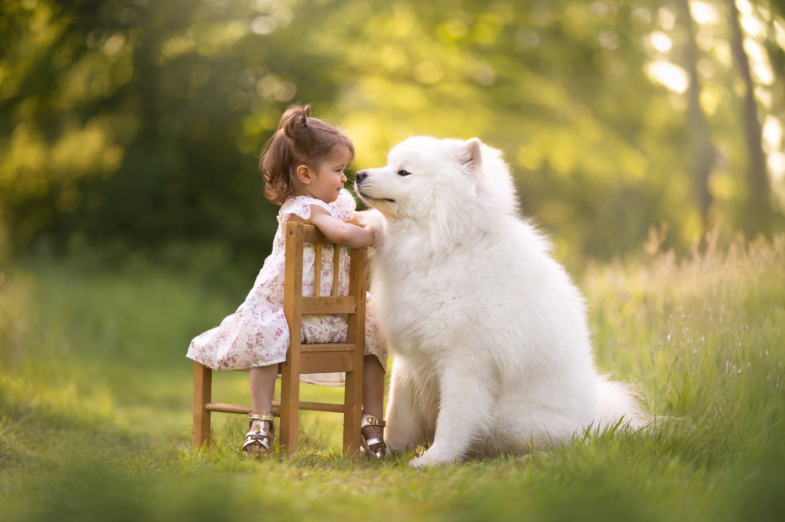 Dog Photography Awards 2025