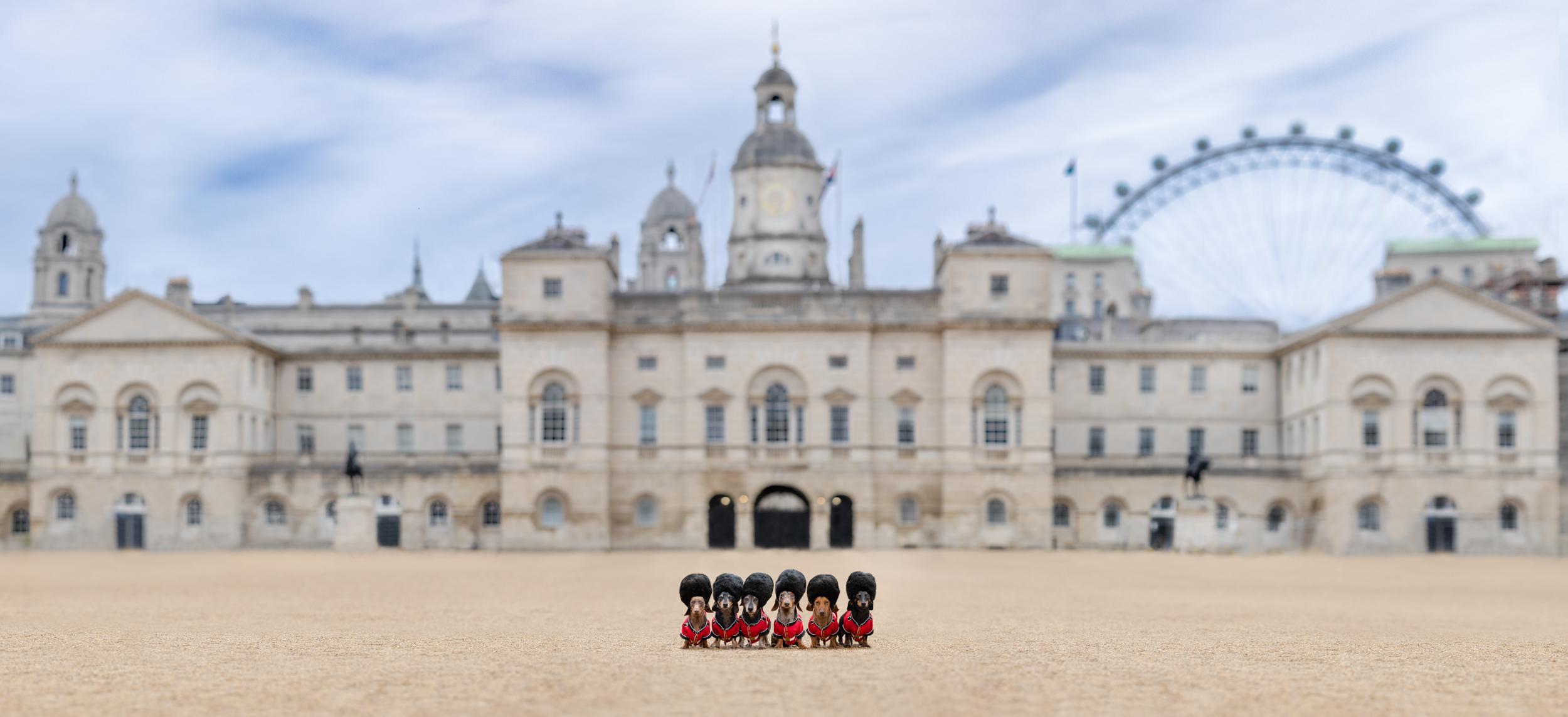 Dog Photography Awards 2025