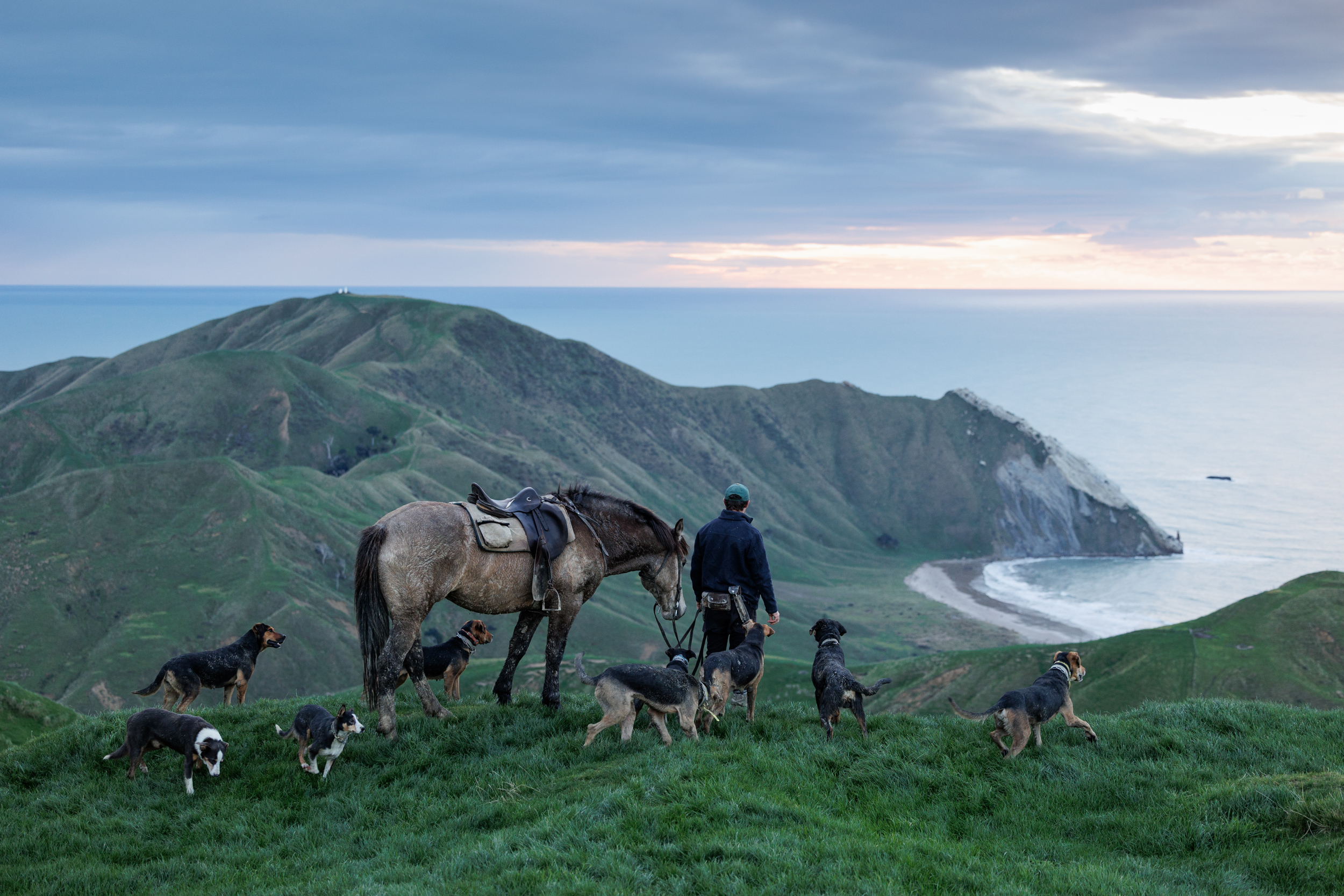 Dog Photography Awards 2025